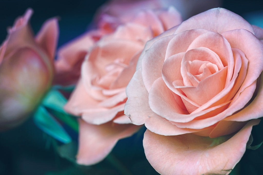 11 Symptoms of Your Heart Chakra Opening