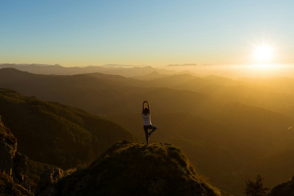 The Science of the 7 Chakras